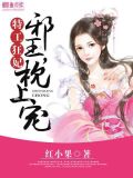 特工狂妃:邪王,枕上宠