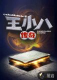 王小八传奇