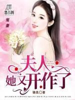 陆少宠妻:夫人她又开作了