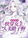 最强炮灰:快穿女主人美路子野