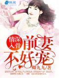 情深入骨:前妻不好宠