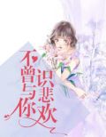 不曾与你识悲欢