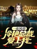 一夜风情,冷艳总裁爱上我