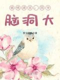 锦绣清宫:四爷,脑洞大
