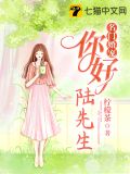 名门婚宠:你好,陆先生