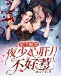 重生撩妻,夜少甜心不好惹