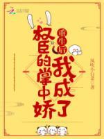权臣大人,娇娇有礼