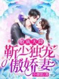 婚从天降:靳少独宠傲娇妻