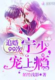 宁少的99度小甜妻