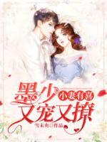 小妻有喜:墨少又宠又撩