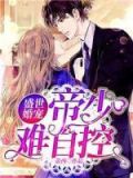 盛世婚宠:帝少难自控