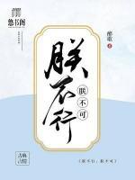 朕不行,朕不可