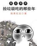 我在异界捡垃圾吃的那些年