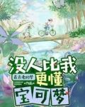 没人比我更懂宝可梦