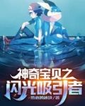 神奇宝贝:闪光吸引者