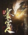 江湖鉴宝人