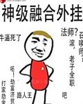 神级融合外挂