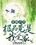 穿越古代,极品竟是我全家