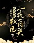 她死后,冷冰冰的权臣一夜白头