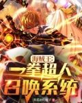 海贼王:一拳超人召唤系统