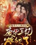 魔尊大人被渣后,废材王妃雄起了