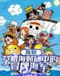 海贼:草帽海贼团中的冒牌海军