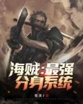 海贼:最强分身系统
