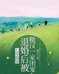 七零傻妻:退婚后被糙汉一家团宠