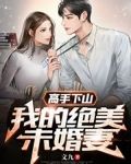 高手下山:我的绝美未婚妻