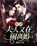 厉总,夫人又在闹离婚