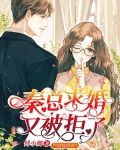 秦总求婚又被拒了