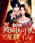闪婚后,被偏执司爷宠翻了