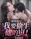 强撩霸总,我要偷生他的崽!
