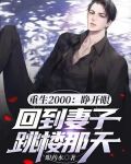 重返2000:全能大明星