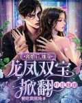 离婚后，她靠龙凤双宝掀翻叶氏财团