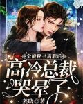 全能秘书离职后,高冷总裁哭晕了