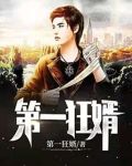 第一狂婿