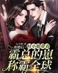 离婚后,时小姐带着霸总的崽称霸全球