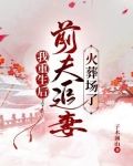 我重生后，前夫追妻火葬场了