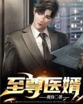 至尊医婿