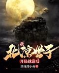 我,北凉世子,开局就造反