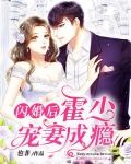 闪婚后,霍少宠妻成瘾