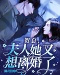 贺总,夫人她又想离婚了