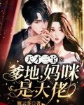 天才三宝,爹地,妈咪是大佬