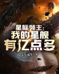 星际领主:我的星舰有亿点多