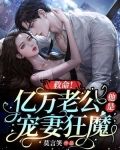 救命!亿万老公他是宠妻狂魔