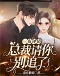 一夜钟情:总裁请你别追了