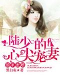 独家蜜婚:陆少的心尖宠妻(又名:独家蜜婚)