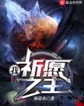 我,祈愿之主