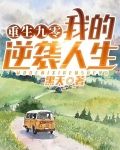 重生九零:我的逆袭人生